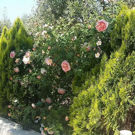 Apartamento Agriomata Vergas Kalamata