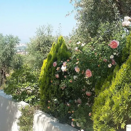 Apartamento Agriomata Vergas *